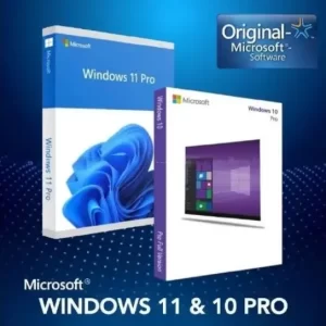 Windows 10 and 11 Pro Home usa